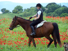 Italy-Lazio-Roman Getaway Ride